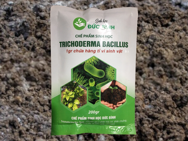 Chế phẩm nấm Trichoderma Bacillus - lựa chọn hàng đầu bà con hiện nay 