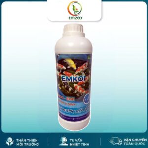 Men vi sinh cho hồ cá koi Emkoi - xử lý nước hồ cá bị xanh, đục, rêu, nhớt, vàng