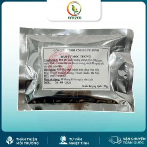 Bào tử mốc làm tương Aspergillus Oryzae làm tương cổ truyền thơm ngon, an toàn