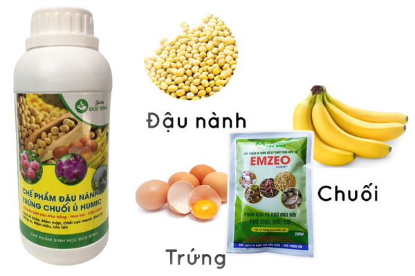 Dịch Chuối Có Tác Dụng Gì? Bí Quyết Tự Nhiên Cho Cây Trồng Khỏe Mạnh