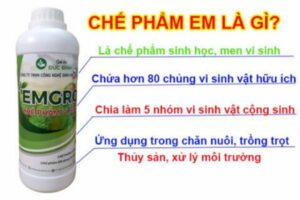 Che-pham-sinh-hoc-emgro-2-600x400