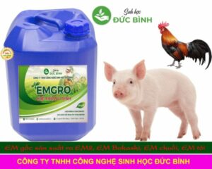 Che-pham-sinh-hoc-emgro-4-600x480