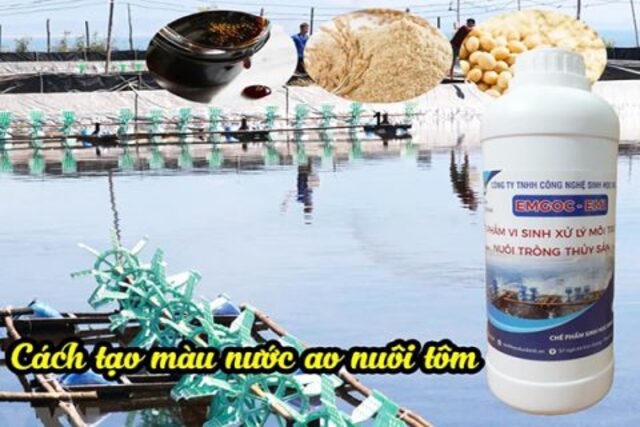 Tạo màu nước bằng chế phẩm EM đơn giản 