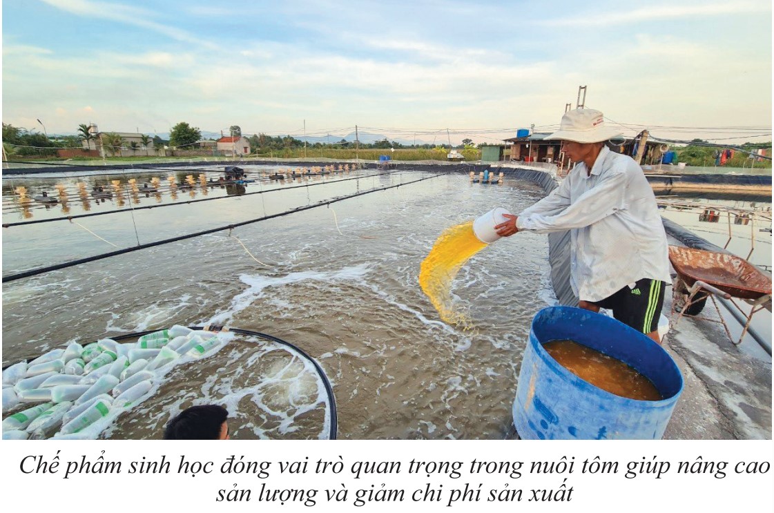 Công dụng tuyệt vời của chế phẩm 