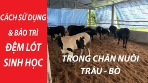 Cần chuẩn bị đầy đủ các nguyên liệu cần thiết 