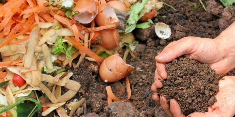 Chuẩn bị nguyên liệu trong cách làm compost