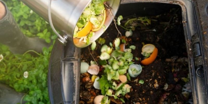 Compost là phân hữu cơ tốt cho cây trồng 