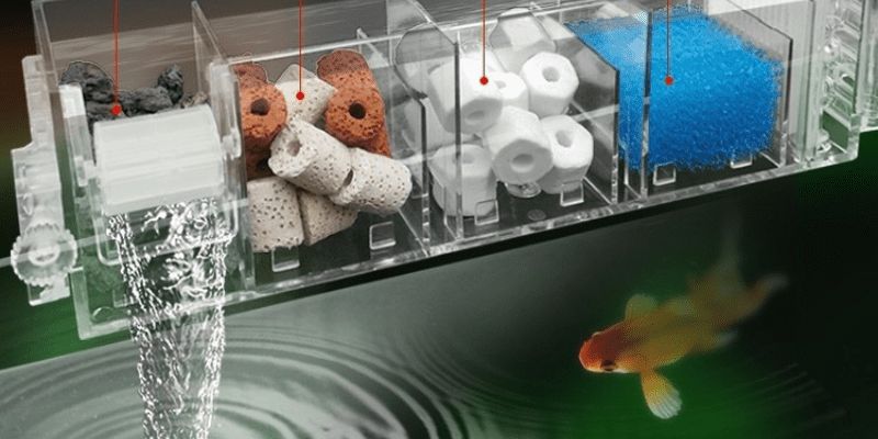 Cách làm trong nước hồ cá ngoài trời bằng bộ lọc 
