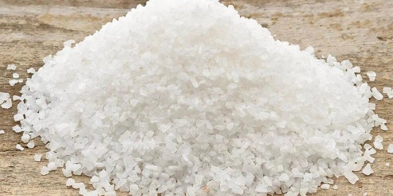 Chia sẻ cách làm trong nước hồ cá ngoài trời bằng muối hột 
