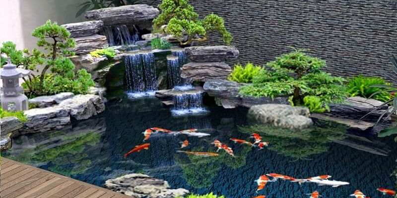 Có hai loại vi sinh có lợi trong hồ cá 