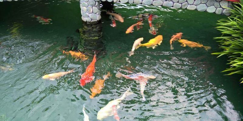 Vệ sinh và hút cặn sạch sẽ 