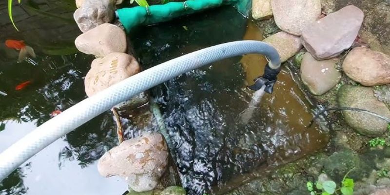 Tìm hiểu cách thay nước hồ cá rất quan trọng 
