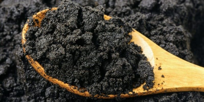 Chia sẻ cách ủ bã cà phê bón cây đơn giản 