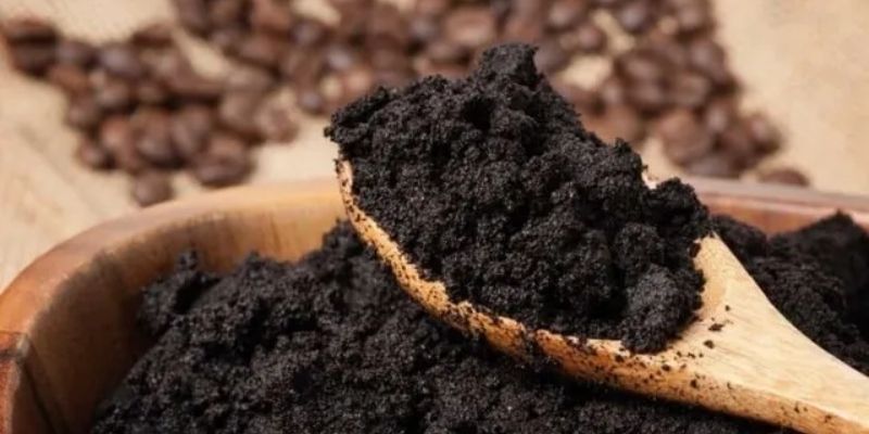 Hướng dẫn sử dụng bã cà phê đơn giản để bón cây