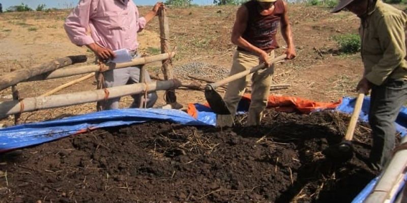 Các bước trong cách ủ mùn cưa để trồng rau chuẩn 