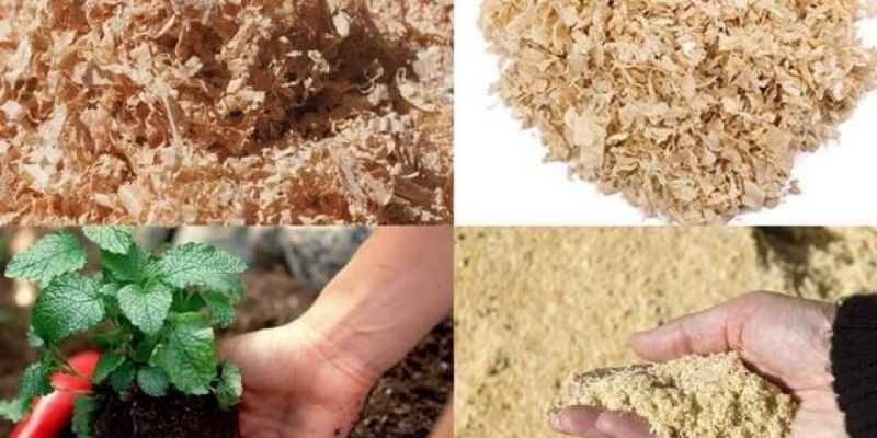 Cách ủ mùn cưa để trồng rau có ý nghĩa to lớn 