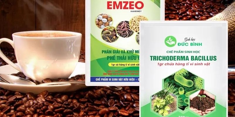 Ứng dụng trong nông nghiệp của cách ủ vỏ trấu cà phê