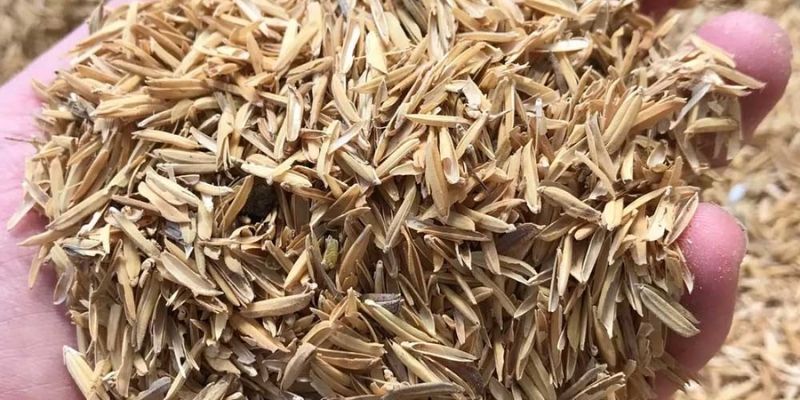 Chia sẻ cách ủ vỏ trấu nhanh mục đơn giản nhanh chóng 