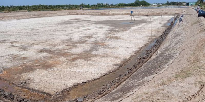 Đáy ao tồn tại nhiều tạp chất và khí độc 