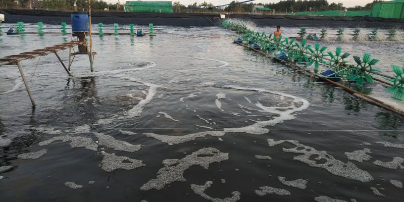 Theo các chuyên gia độ đục là 30 - 45 NTU lý tưởng 