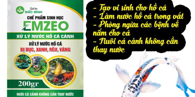 Cách xử lý nước hồ cá bị rêu bằng EMZEO 
