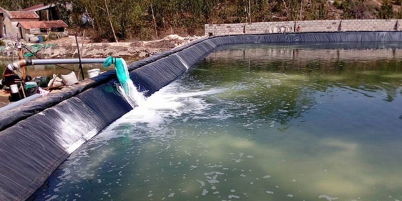 Sử dụng phân vô cơ là cách xử lý nước trong ao tôm