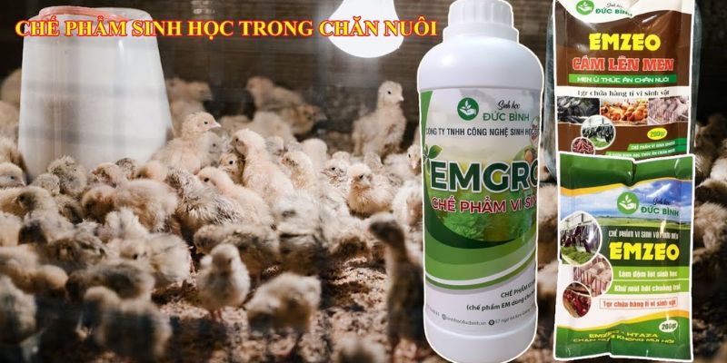 Chế phẩm EMZEO sử dụng và bảo quản đơn giản 