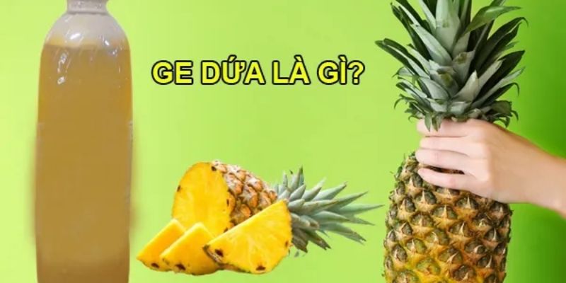 GE dứa đem tới loại phân hữu cơ chất lượng 