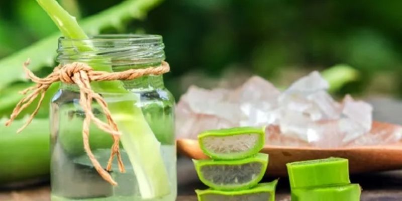 Công dụng GE nha đam thực tế là gì? 