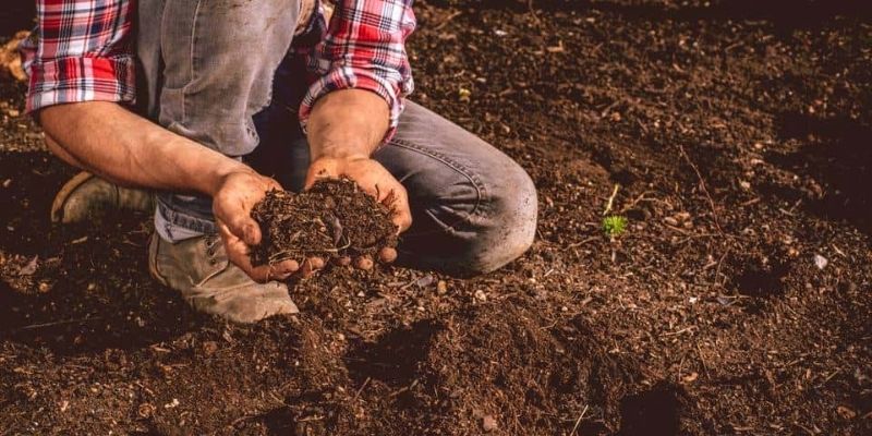 Ủ phân làm mùn đơn giản hiệu quả cao 