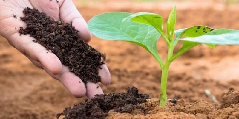Phân loại 3 nhóm đất phổ biến hiện nay 