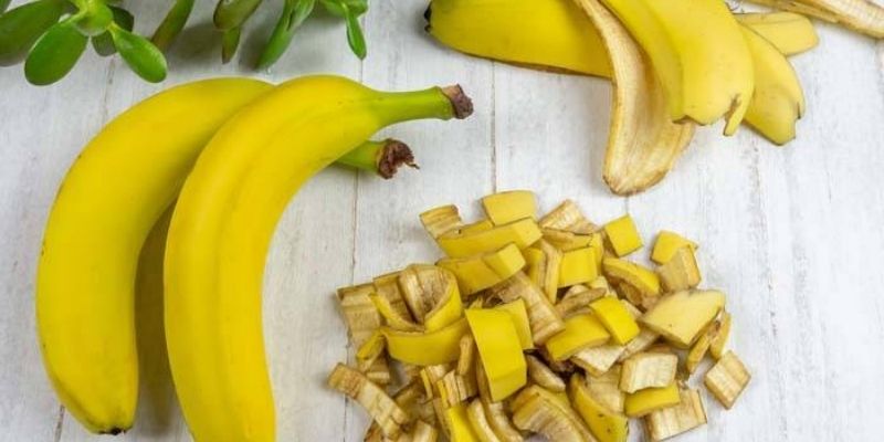 Làm phân bón hữu cơ cùng nước mía tại nhà 