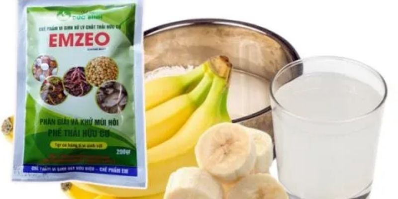Cách ủ với nước vo gạo đơn giản hiệu quả 