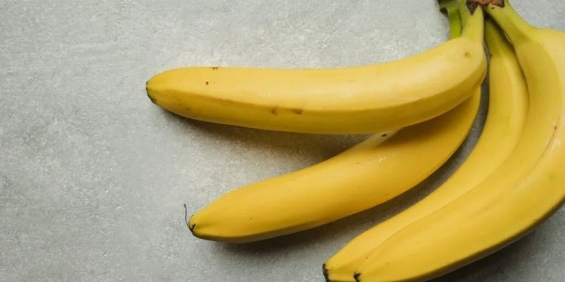 Dịch chuối tưới cây được đánh giá cao 