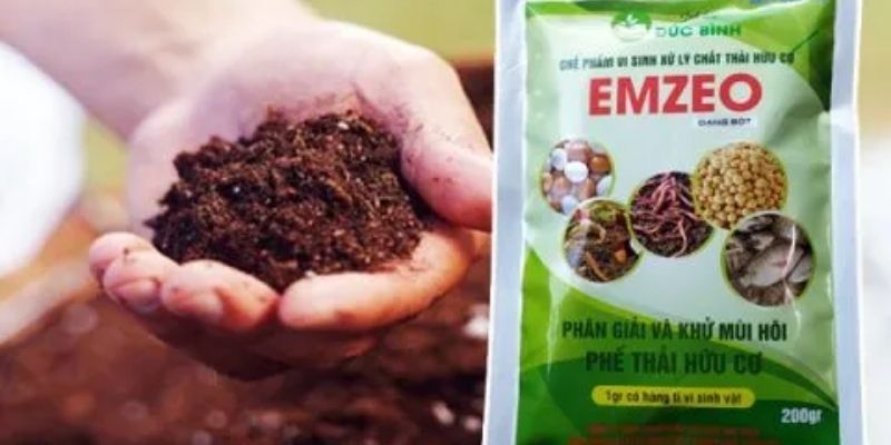 Dung dịch giúp đẩy nhanh sự thụ phấn 
