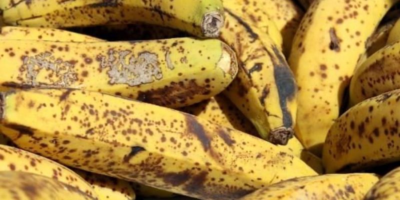 Chia sẻ cách tạo ra GE đơn giản từ chuối 