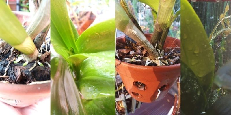 GE là gì liệu bạn có biết không?