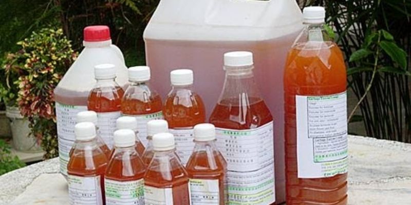 Chia sẻ cách làm GE từ quế đơn giản 