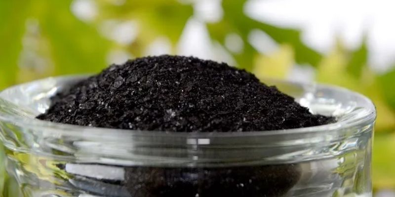 Humic có ý nghĩa đặc biệt trong cây trồng 