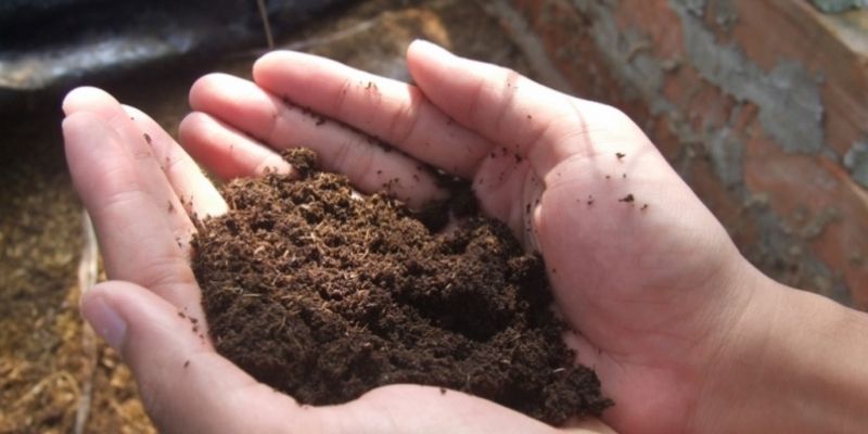 Khái niệm đúng về men vi sinh ủ phân