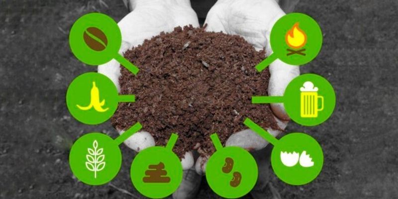 Tiêu chí chọn đúng men vi sinh ủ phân chất lượng 
