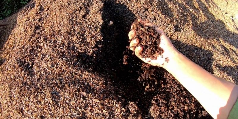 Ưu điểm của sản phẩm men vi sinh ủ phân