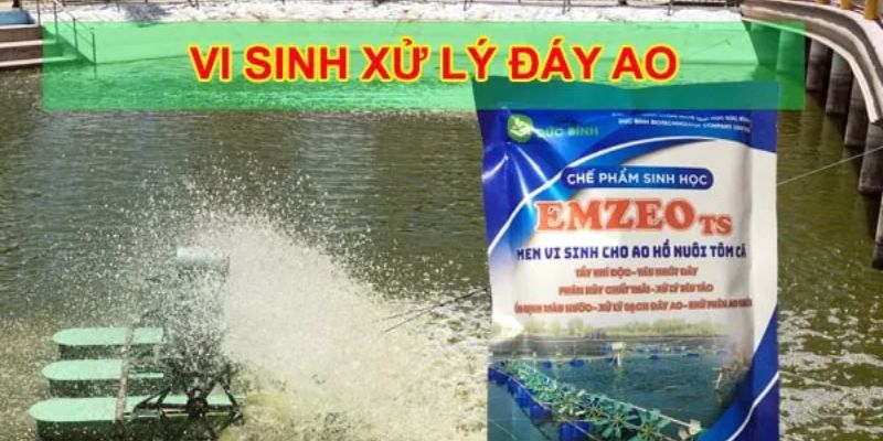 Có nhiều địa điểm mua EMZEO TS hiện nay 