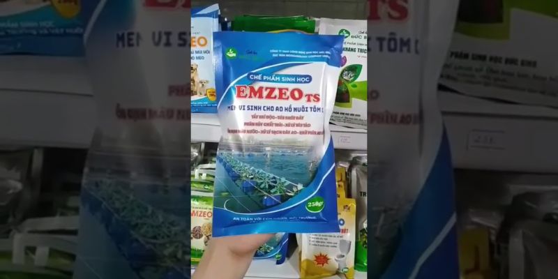 Sử dụng men vi sinh xử lý đáy ao tôm rất quan trọng 