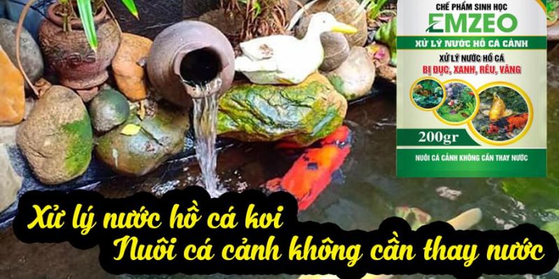 Sử dụng EMZEO khắc phục nước bị đục 
