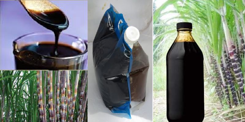 Rỉ mật là sản phẩm có nhiều công dụng 