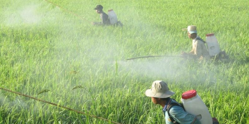 Đánh giá ưu nhược điểm của sản phẩm trừ sâu sinh học 