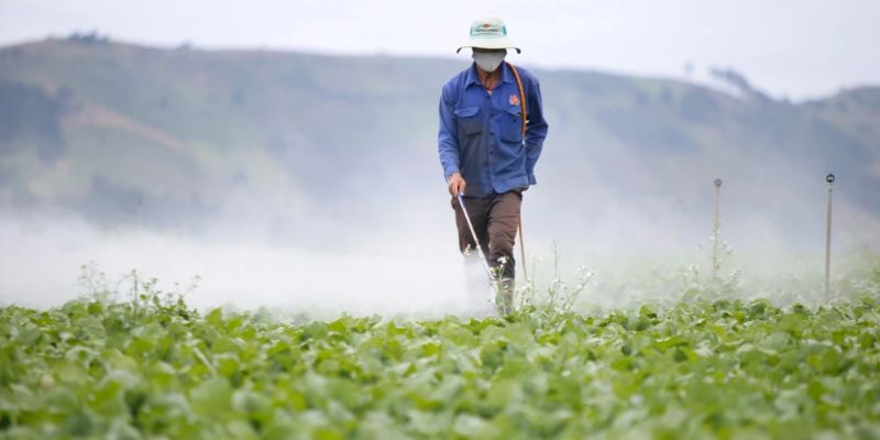 Thuốc trừ sâu vi sinh phát triển nông nghiệp bền vững 