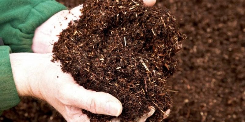 Cách sử dụng phân Humic chuẩn đạt hiệu quả cao 