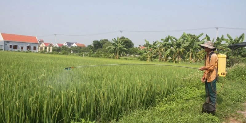 Uu-nhuoc-diem-cua-che-pham-vi-sinh-tru-sau-khai-niem